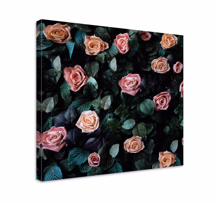 Leinwandbild Blume Rote rosenblüten - TenStickers