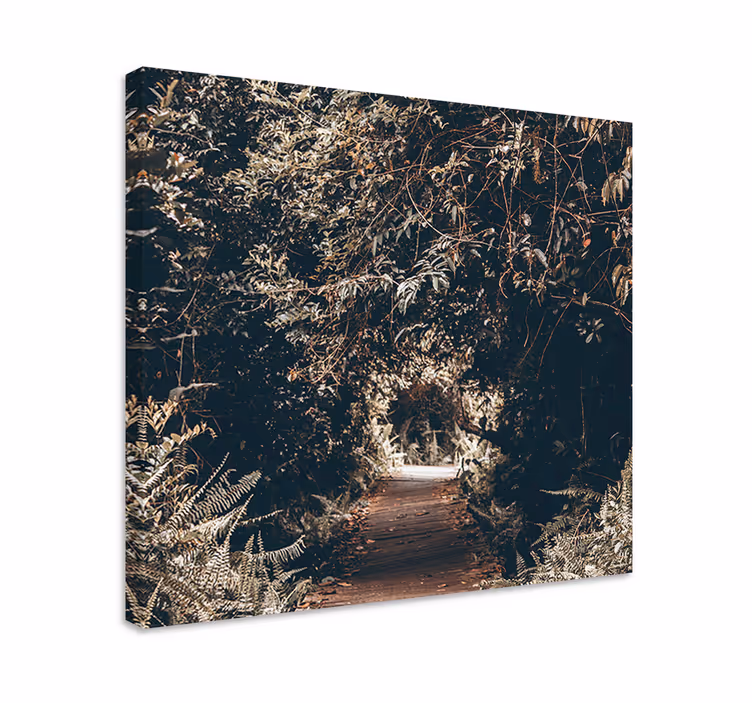 Wandbild baum weg durch den wald - TenStickers