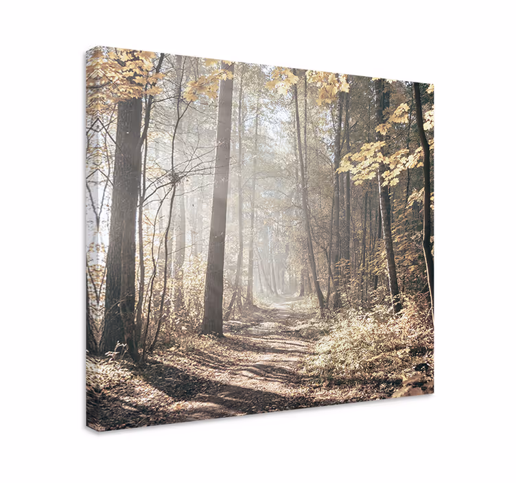 Wandbilder landschaft nebelbedeckter weg - TenStickers
