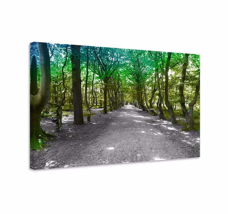 Wandbild baum grüner waldweg - TenStickers