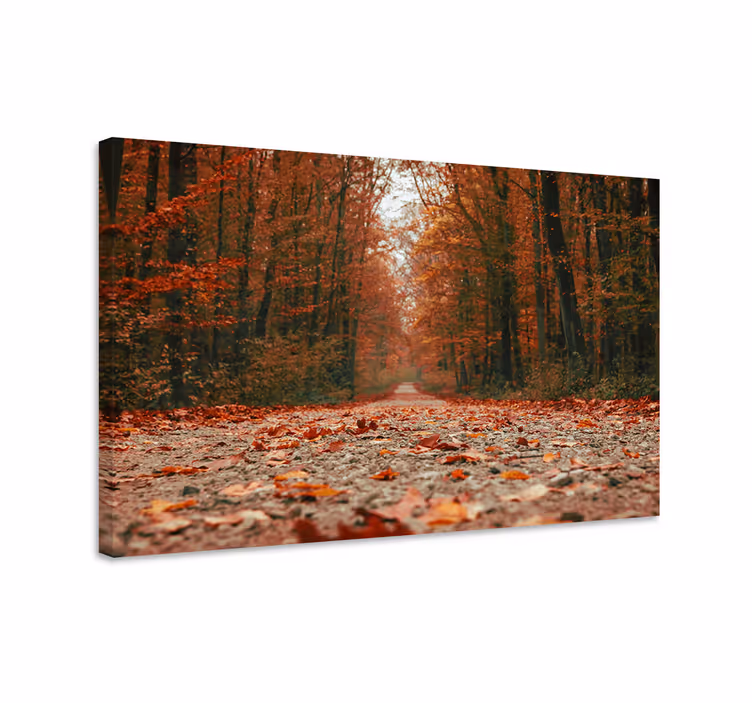 Wandbilder landschaft herbstweg - TenStickers