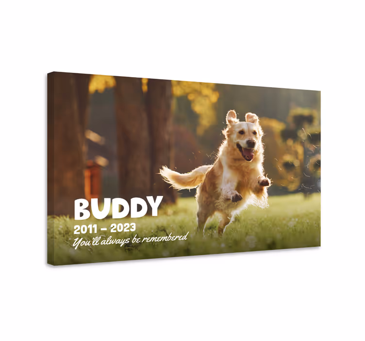 Wandbild Wohnzimmer hier ruht ein treuer Freund,Ein treuer Beglei - TenStickers