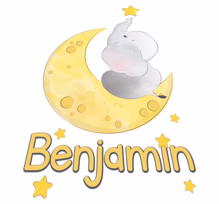 Vinyl teppich tiere mond und sterne mit namen - TenStickers