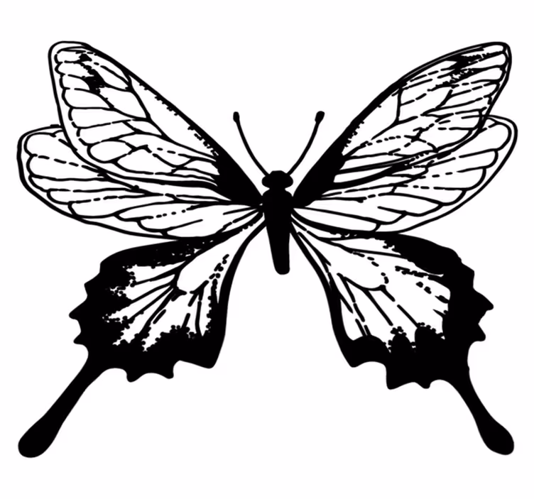 Vinyl teppich tiere elegante schmetterlingskontur - TenStickers