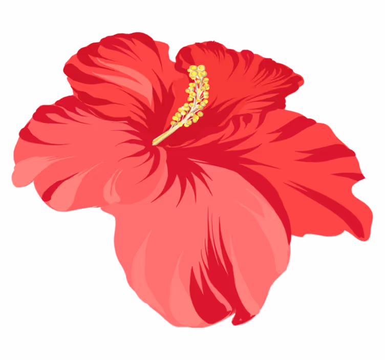 Vinyl teppich blumen rotes hibiskusblüten set - TenStickers