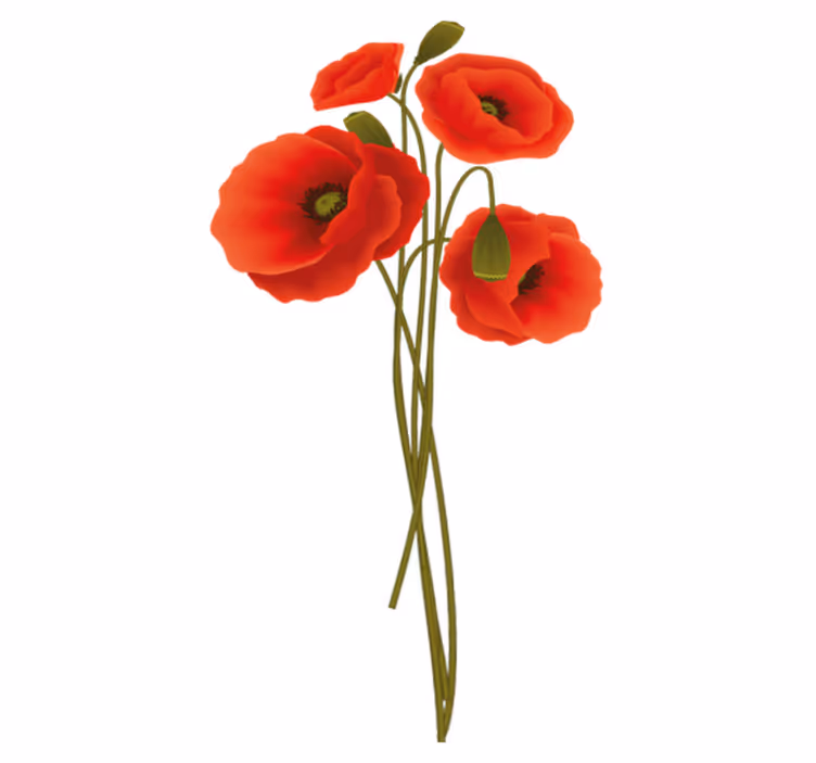 Vinyl teppich badezimmer zarte mohnblumen - TenStickers