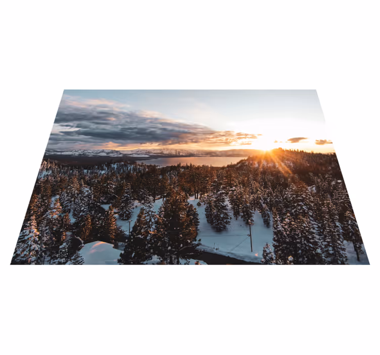 Vinyl teppich natur üppige waldlandschaft - TenStickers