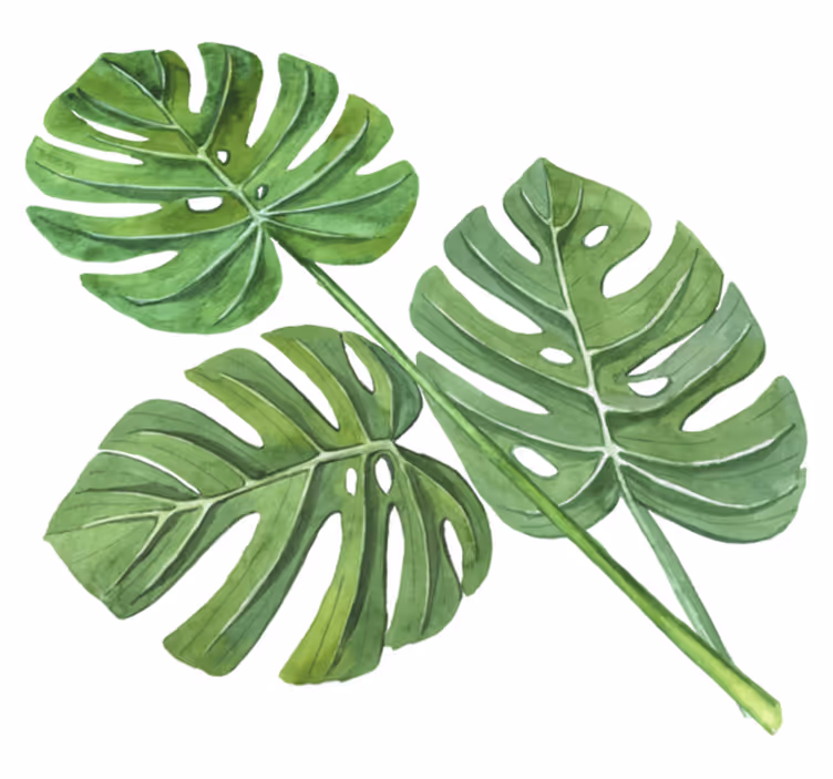 Vinyl teppich blumen monstera aquarellblätter - TenStickers