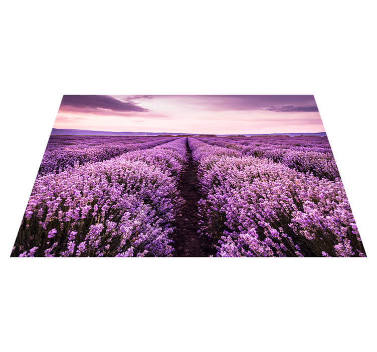 Vinyl teppich lila mit lavendelblüten aus der provence - TenStickers