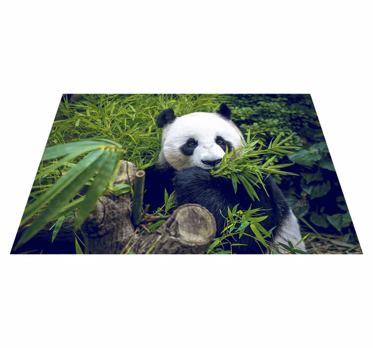 Vinyl teppich grün mit schattigem panda - TenStickers