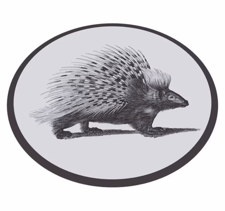 Vinyl Teppich Tiere stachelschweinillustration - TenStickers
