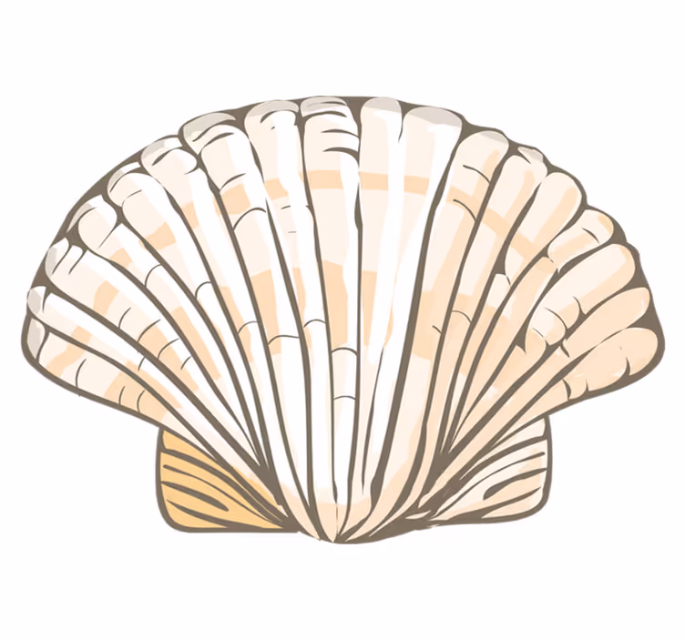 Vinyl Teppich Tiere muschelillustration - TenStickers