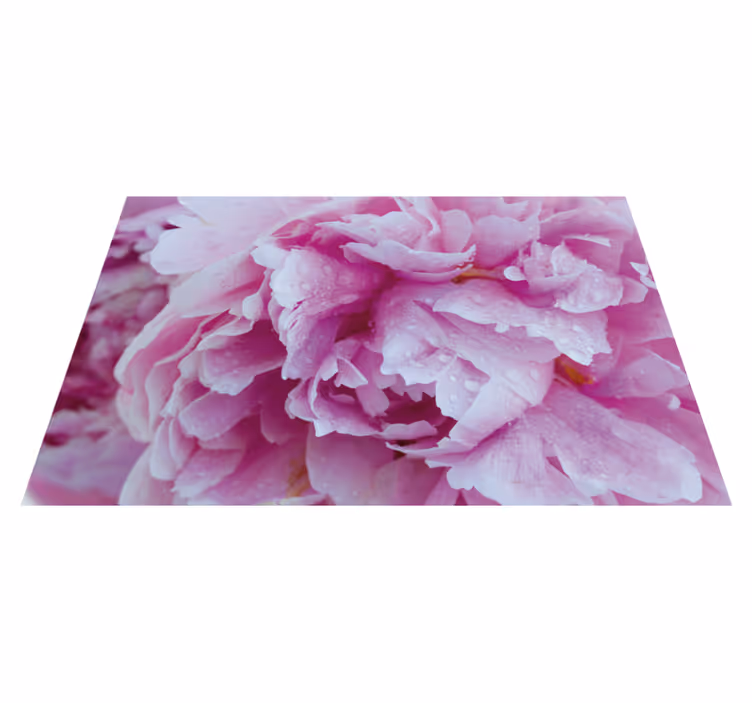 Vinyl Teppich Blumen rosa pfingstrosenblüte - TenStickers
