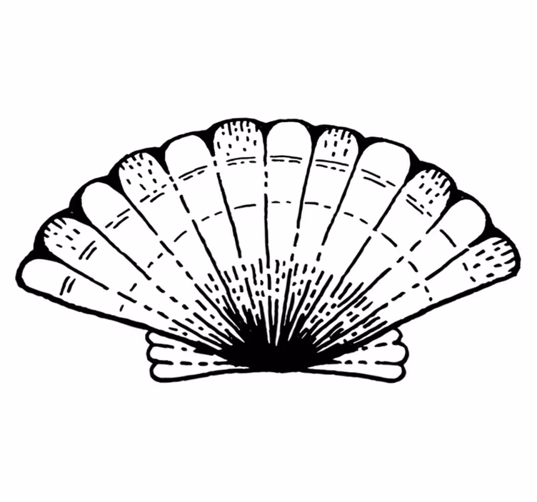 Vinyl Teppich Natur muschel-akzent - TenStickers