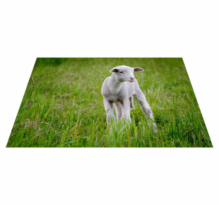 Vinyl Teppich Tiere baby-lamm stehend - TenStickers