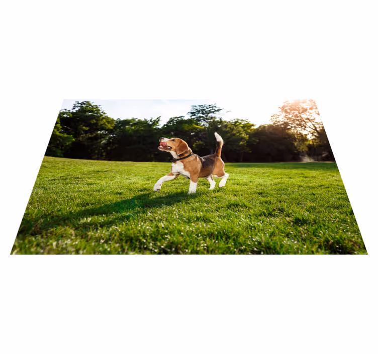Vinyl Teppich Tiere glücklicher beagle beim laufen - TenStickers