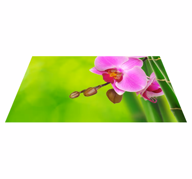Vinyl Teppich Blumen orchideenblütenfreude - TenStickers