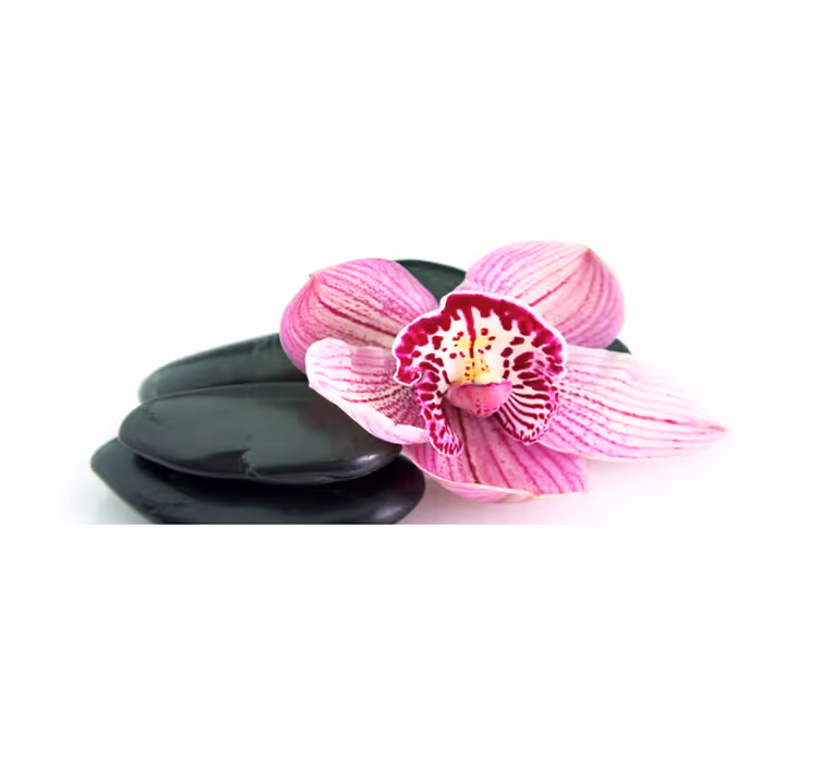 Vinyl Teppich Blumen orchidee und steine - TenStickers