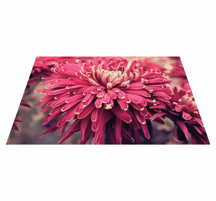 Vinyl Teppich Blumen realistische chrysantheme - TenStickers