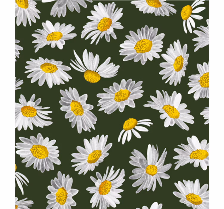 Fototapete wald wiesen voller gänseblümchen - TenStickers