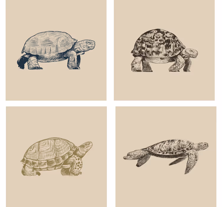 Vintage tapete schildkröten auf beigem hintergrund - TenStickers