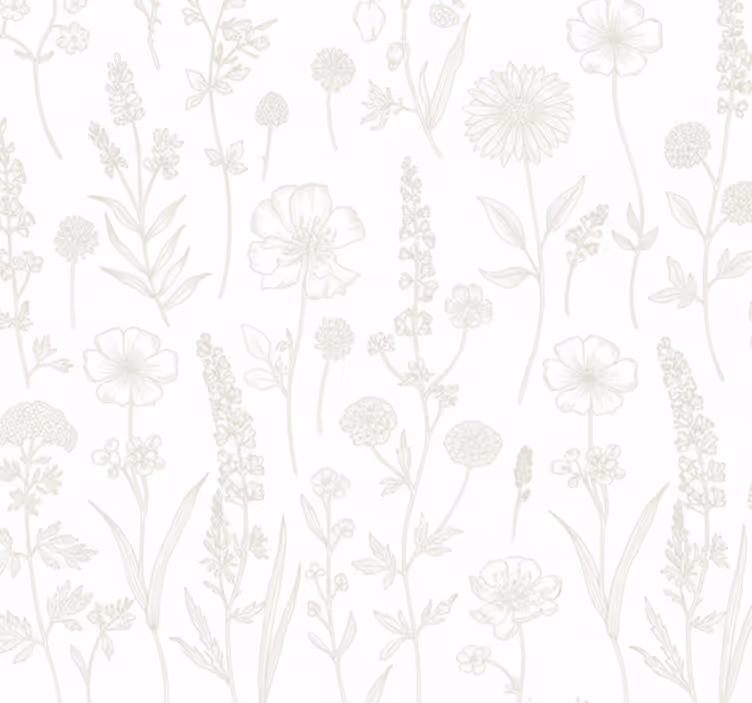 Wohnzimmer tapete botanischer skizzenweg - TenStickers