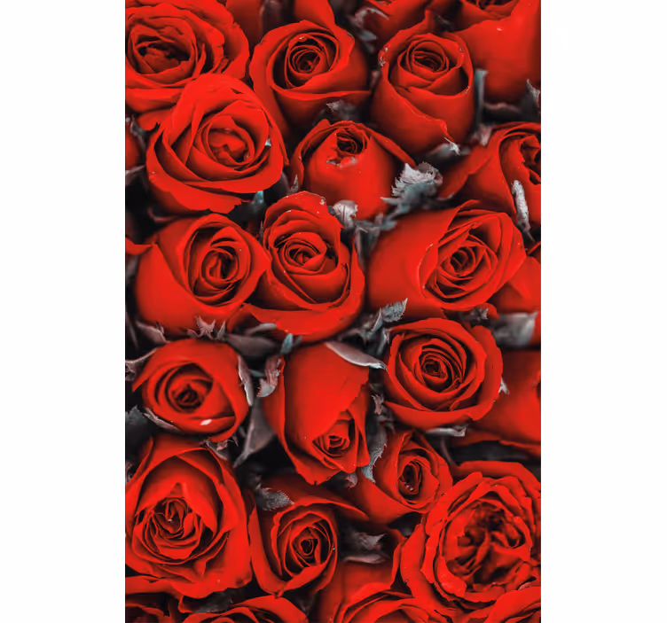 Blumentapete romantische rote rosen - TenStickers