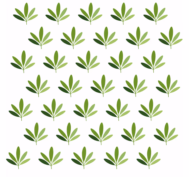 Tapete blätter süße palme - TenStickers
