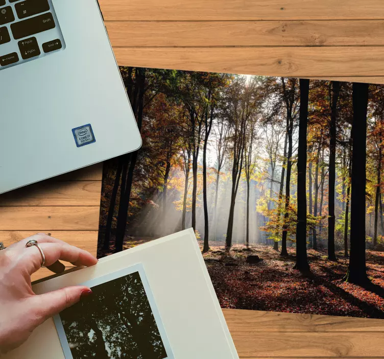 Mauspad originell ruhige waldszene - TenStickers