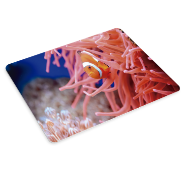 Xxl mauspad clownfisch zwischen anemonen - TenStickers