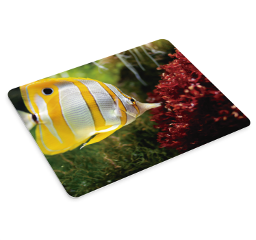 Xxl mauspad mit buntem fischmotiv - TenStickers
