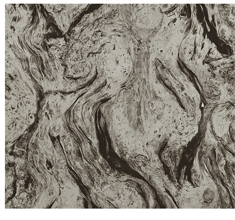 Rollo Fenster Badezimmer dunkle marmorstruktur - TenStickers