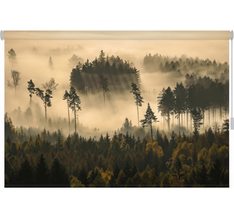 Rollo fenster bäume im ätherischen morgennebel - TenStickers