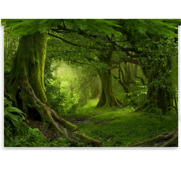 Rollo fenster bäume für eine üppige wald-oase - TenStickers