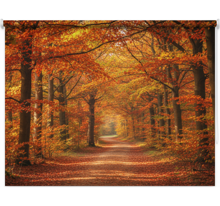 Rollo fenster bäume herbstbaumweg - TenStickers