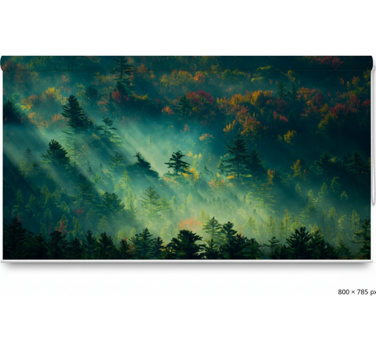 Rollo fenster bäume der stimmungsvoller wald - TenStickers