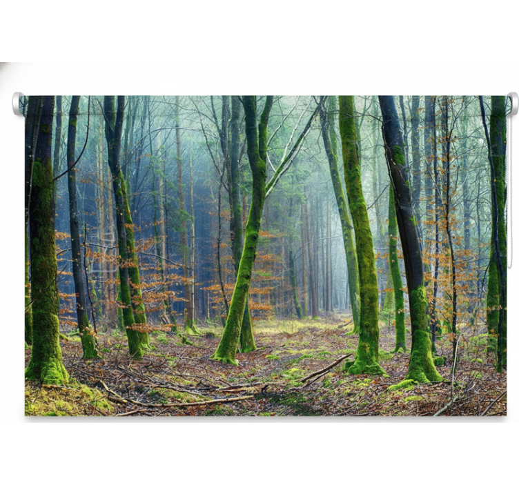 Rollo fenster bäume nebelwald japandi - TenStickers