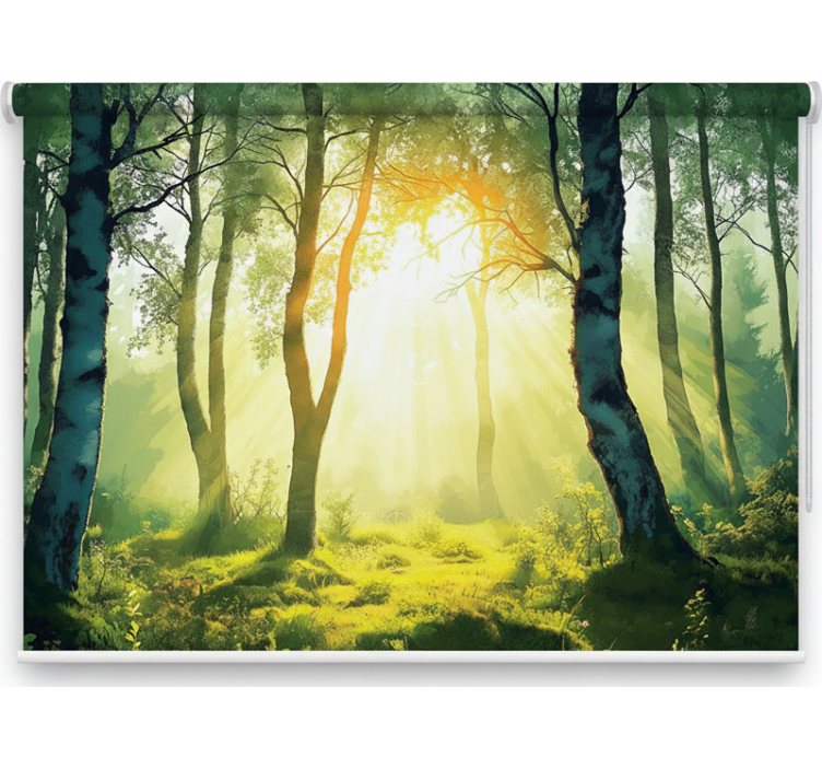 Rollo fenster bäume sonnenverwöhnte birke wandbild - TenStickers