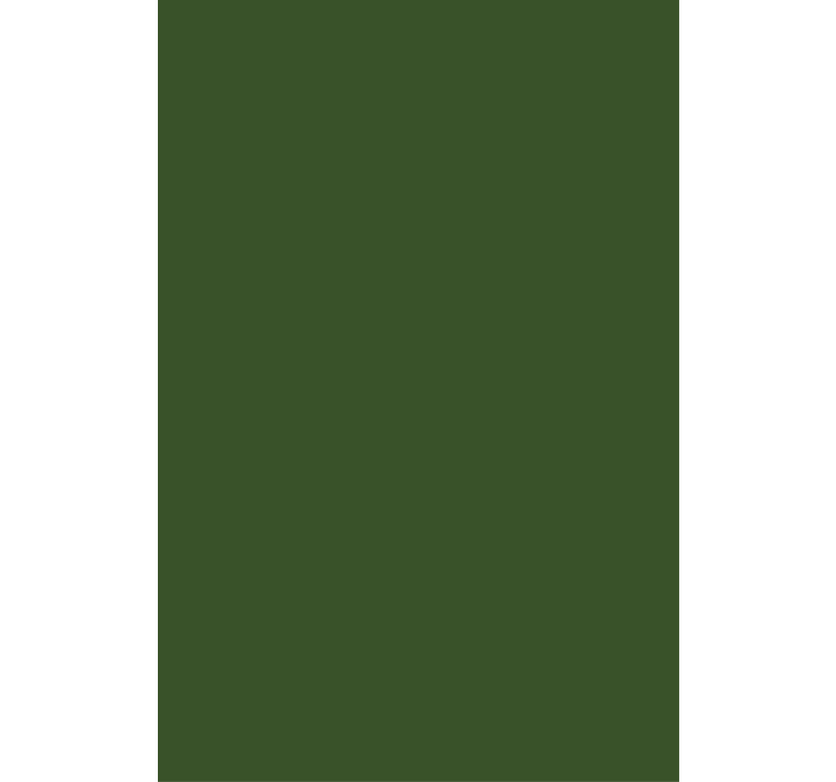 Rollo Fenster undurchsichtig grüner minimalistischer farbton - TenStickers