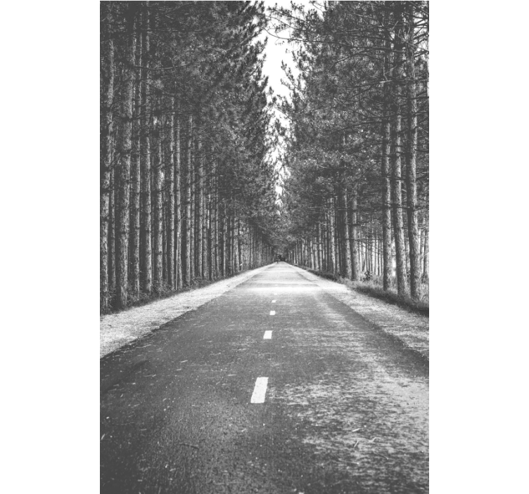 Weitere Fenster Rollos ruhiger waldweg - TenStickers