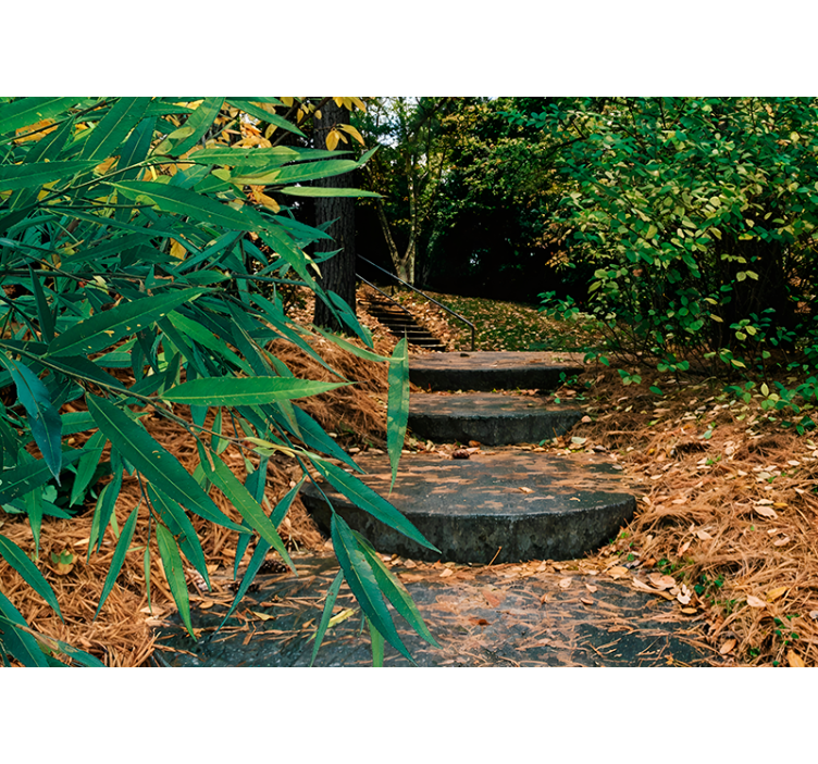 Origineller Rollo 3d-wald und kleine straße - TenStickers