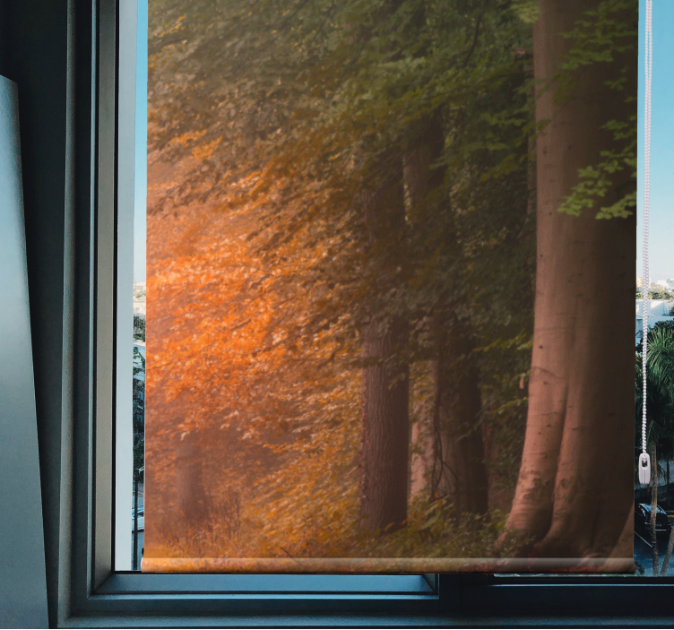 Origineller Rollo Tiefer fantastischer wald - TenStickers