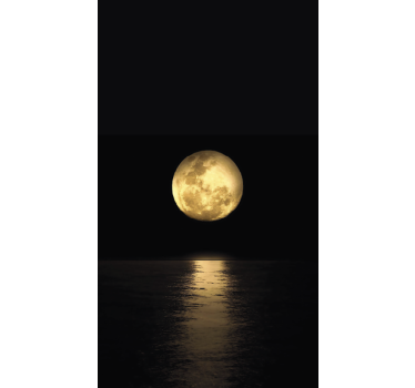 Rollo fenster schwarz goldener mondschein - TenStickers