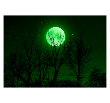 Rollo fenster schwarz grüner mond - TenStickers