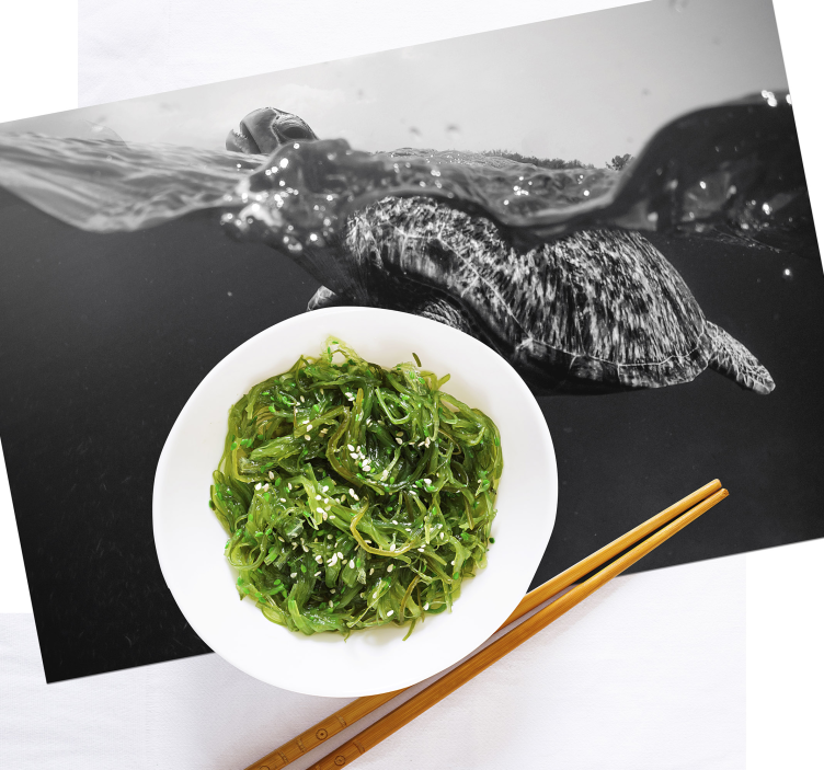 Tischset schildkröten unterwasserszene - TenStickers