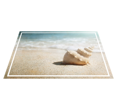 Platzset modern Muschel auf dem sand - TenStickers