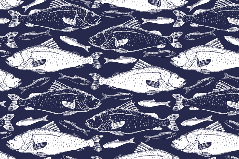 Tischset Fisch Fische unter dem Meer - TenStickers