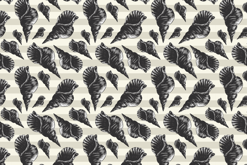 Tischset modern elegante muschelmotive - TenStickers