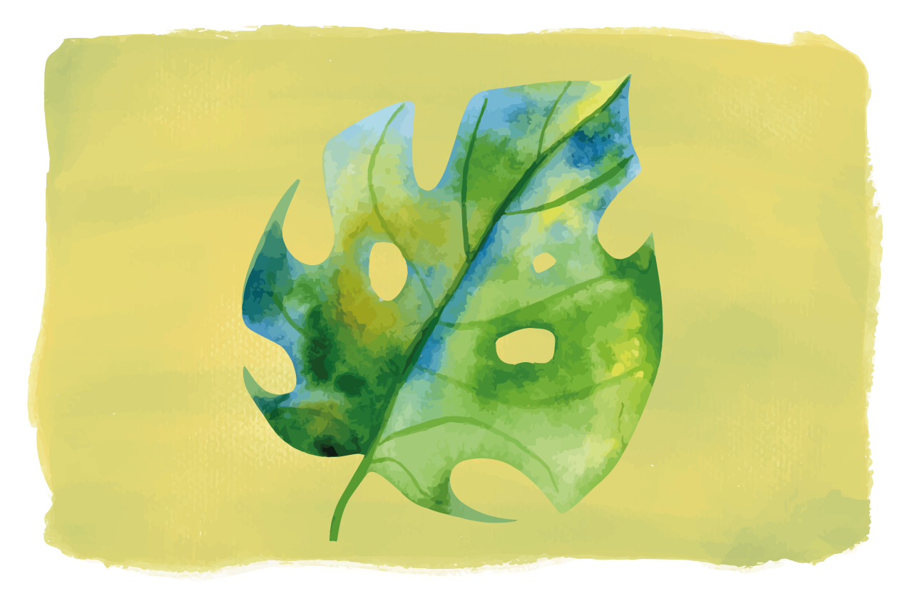 Tischsets originell im monstera blatt design - TenStickers