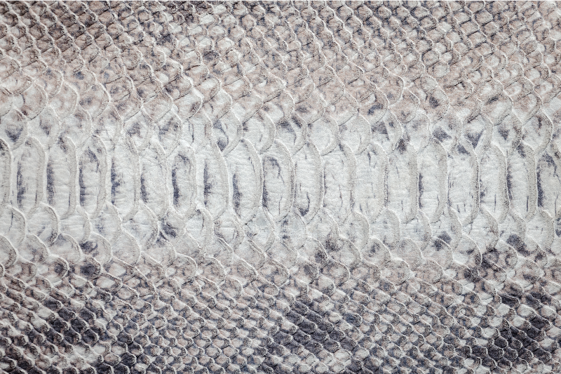 Tischset mit schlangenhaut-optik - TenStickers